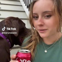 TikTok Cuties 160