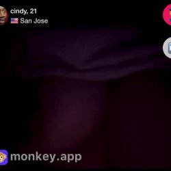 monkey app